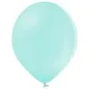 Ballonnen Pastel Licht Mintgroen 10 Stuks