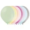 Zak Ballonnen PASTELKLEUREN 100 Stuks 27cm