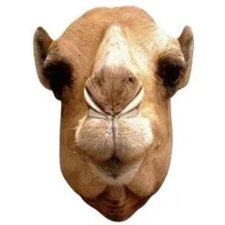 Masker Kameel