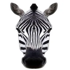 Masker Zebra