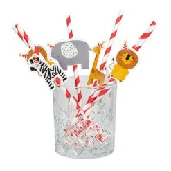 Rietjes Safari Party 6 Stuks