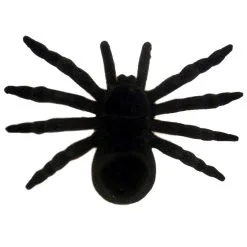Spin Tarantula Flock Zwart