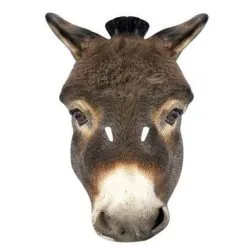 Lint Voor Ballonnen Lichtgroen